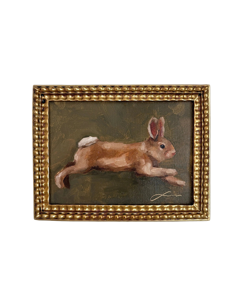 “Floppy bunny” print