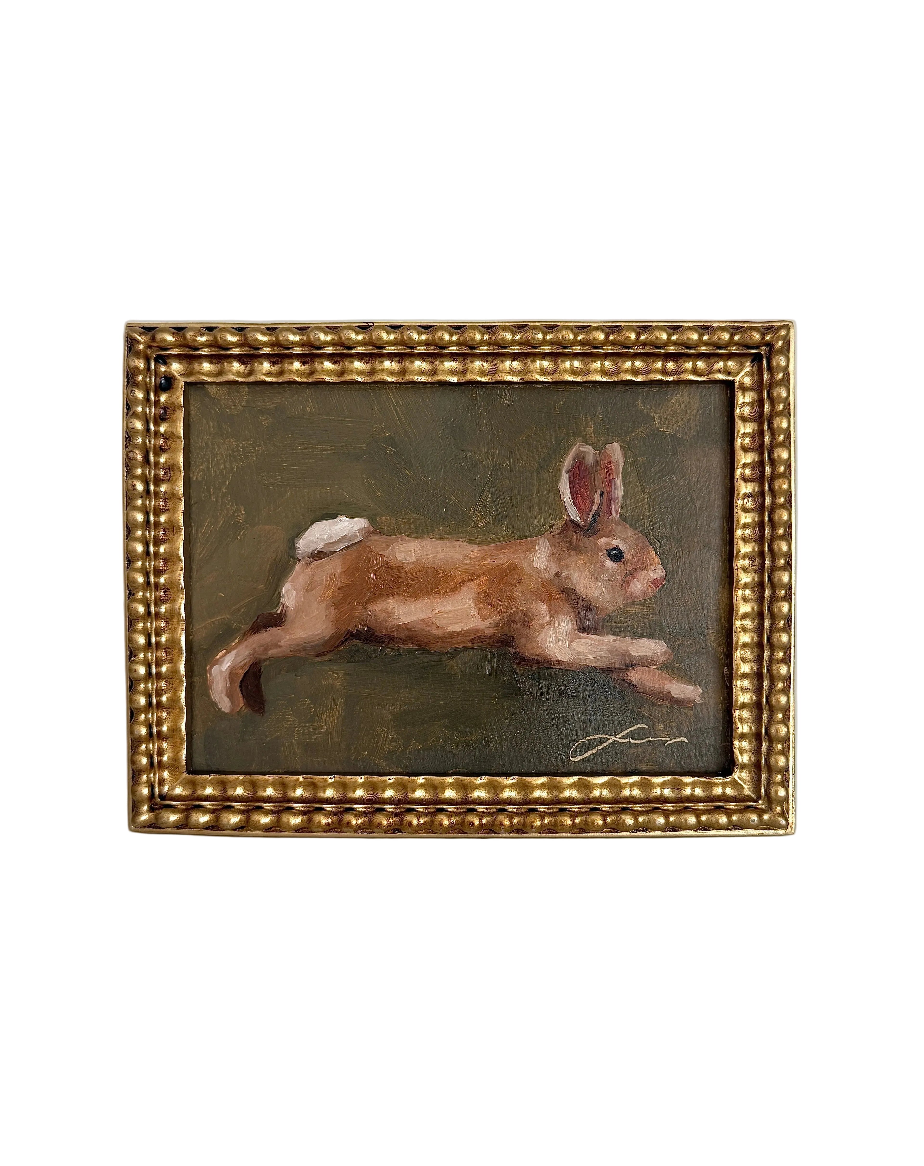 “Floppy bunny” print
